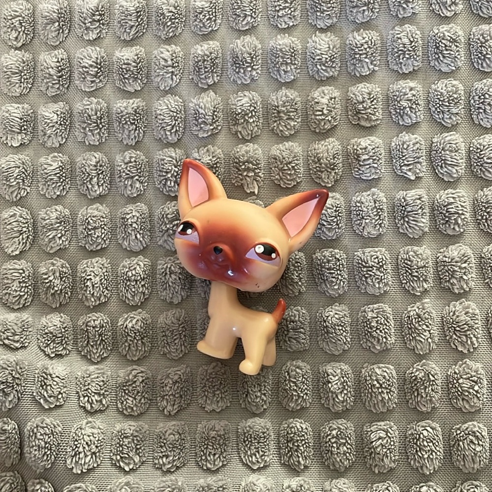 Littlest pet shop #1 chihuahua RARE